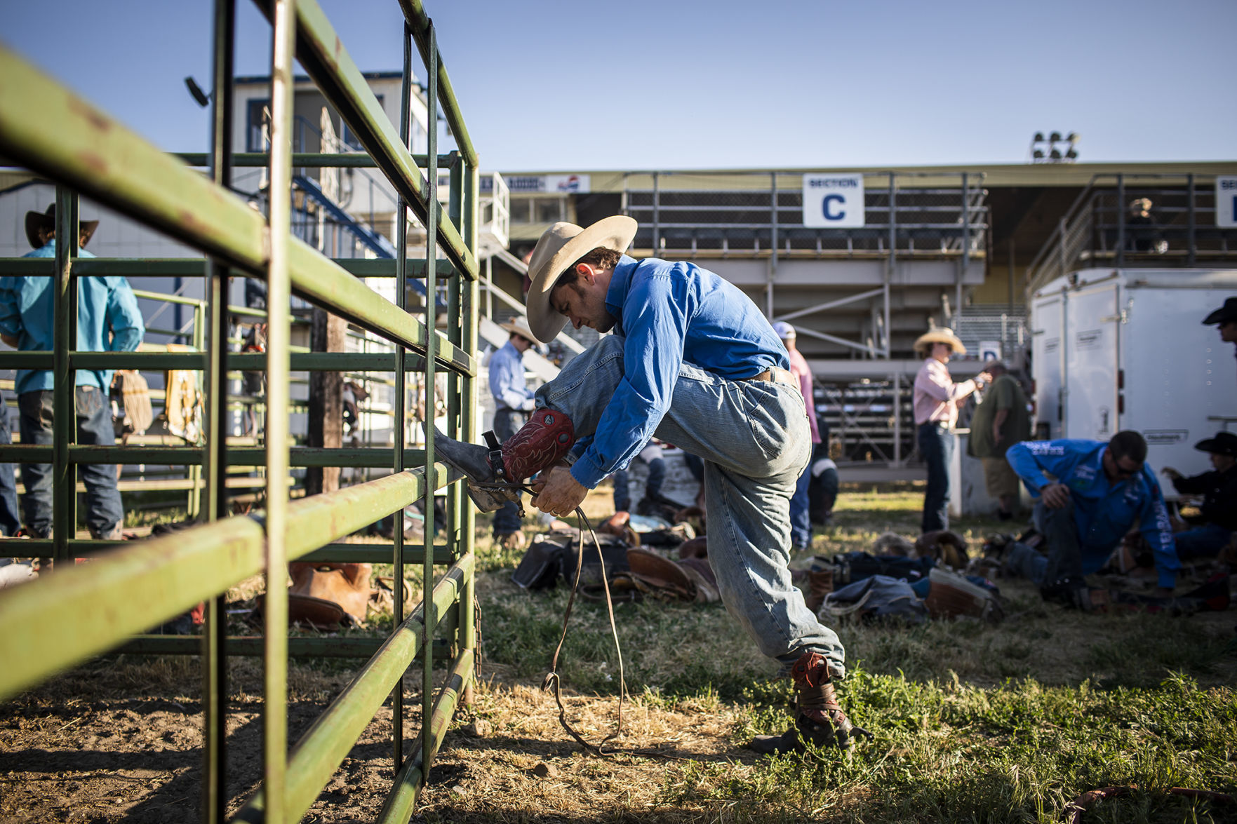 Rodeo